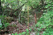 28 Seguendo nel fitto bosco traccia di sentierino a lato del reticolato scendo verso la Stalla Fopp (1124 m)